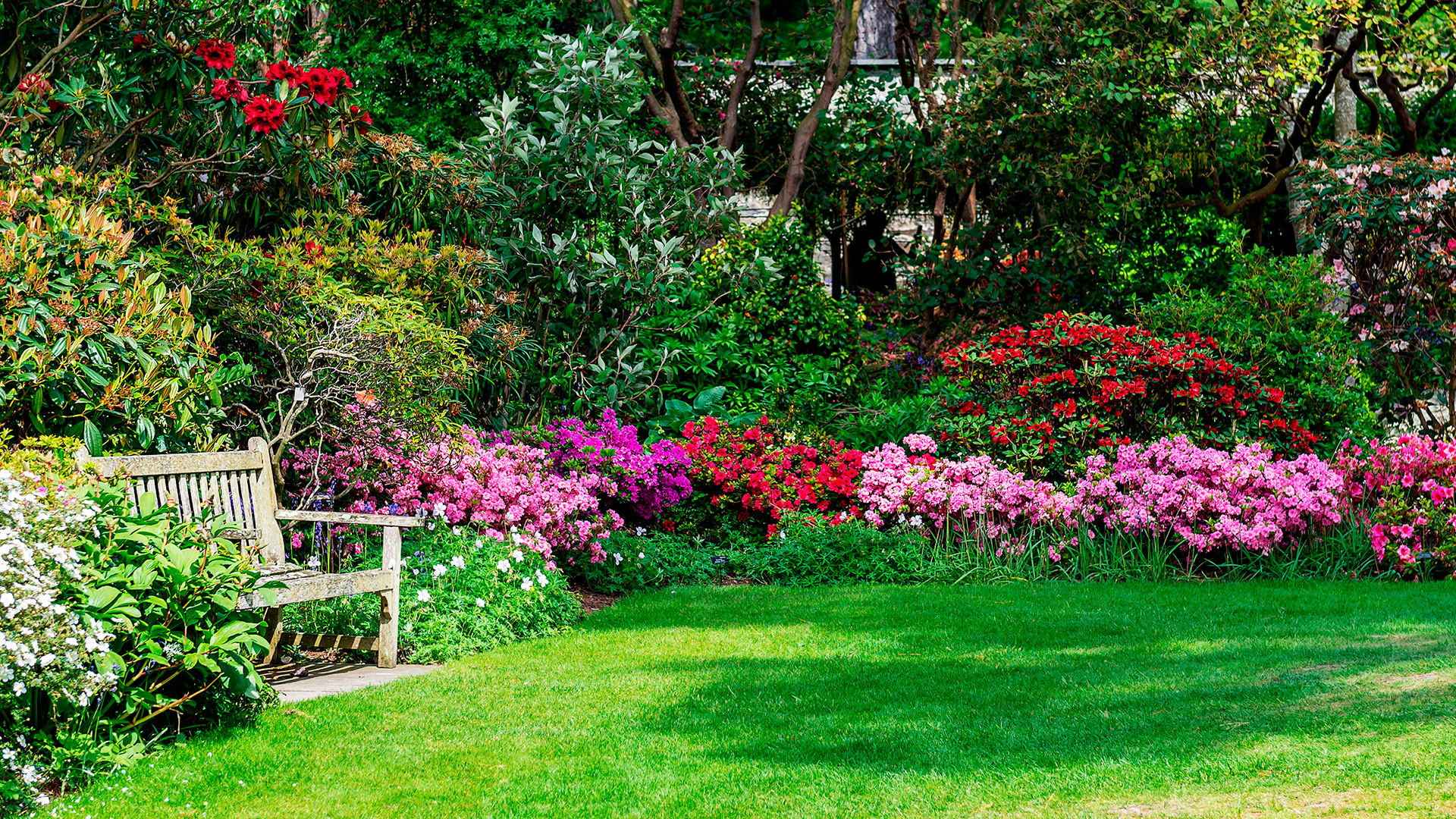 Realizzazione e sistemazione giardini