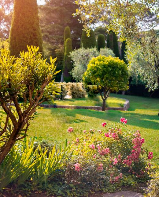 giardino